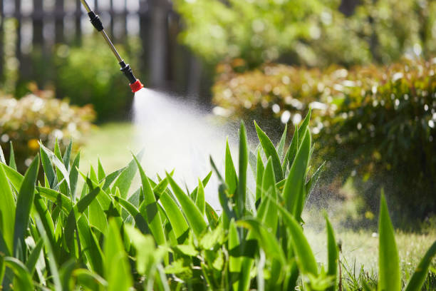 24/7 Emergency Ant Control experts in Bowling Green, OH