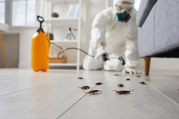 Trusted Termite Control service in Bowling Green, OH - Nex Pest Control